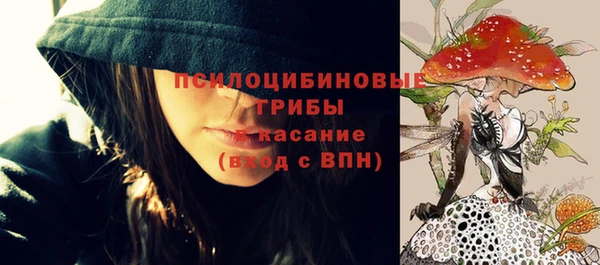 герыч Арсеньев