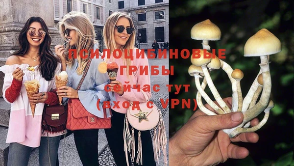 первитин Балахна
