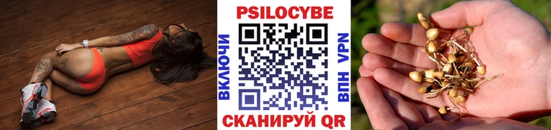 Псилоцибиновые грибы GOLDEN TEACHER Таруса
